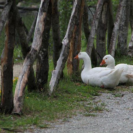 Albergo Lago Verde Pennabilli Exterior foto